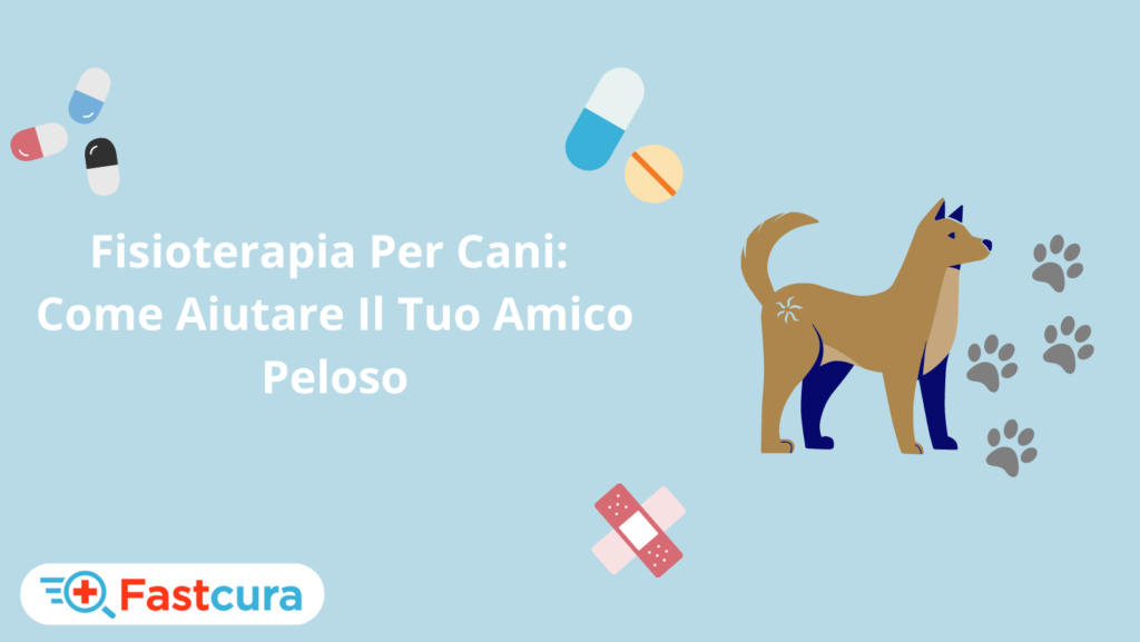 Fisioterapia Per Cani