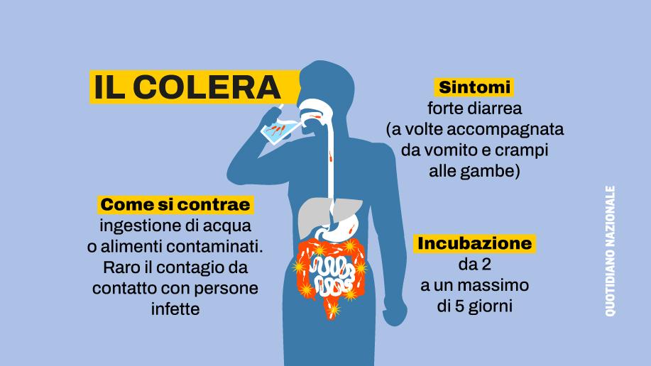 Colera: cos'è esattamente? Una guida completa per capire questa infezione, dalla trasmissione attraverso il vibrio cholerae, ai sintomi più comuni. Scopri quali sono i cibi a rischio e come vengono riportati i casi di colera nel mondo.