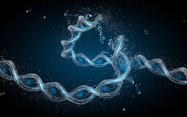 Recettori ed enzimi sul palcoscenico della biologia cellulare 1 Recettori ed enzimi sono i nuovi protagonisti della biologia cellulare: molecole fondamentali che compongono il nostro corpo e garantiscono la vita