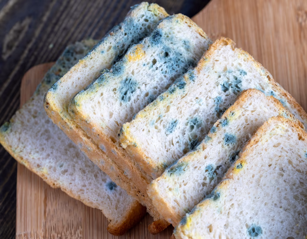 Cosa succede se mangio la muffa? Rischi e rivelazioni scientifiche 2025 1 Muffa sul cibo