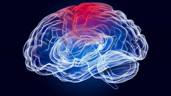 Cervello e infiammazione: capire il legame per prevenire malattie neurologiche 3 Neuroinfiammazione