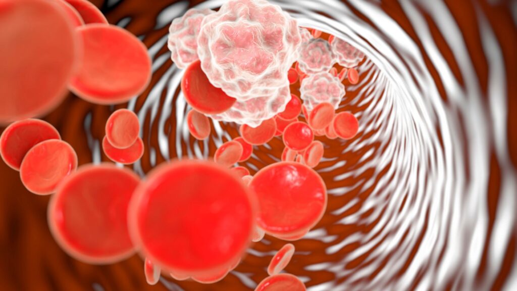 Cervello e infiammazione: capire il legame per prevenire malattie neurologiche 2 Processo infiammatorio