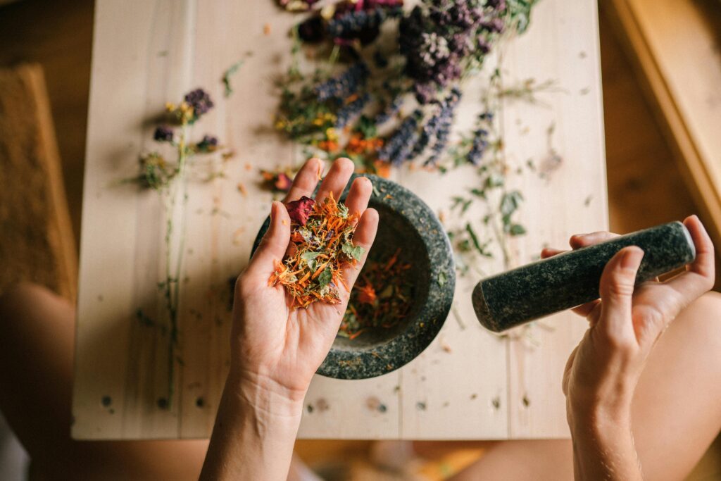 Fitoterapia: quando le piante diventano alleate della salute 1 fitoterapia-mani-piante-mortaio