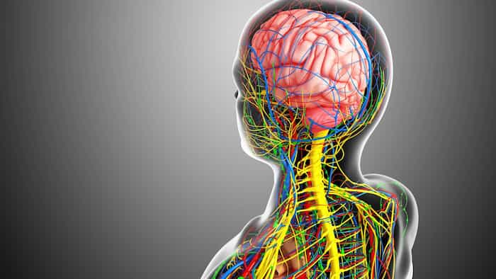 Primi segnali neurologici: come riconoscerli e agire per proteggere la salute cerebrale 1 Sintomi fisici 2 1