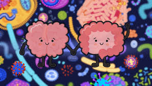 Il microbiota come "2° cervello": quanto influisce sul nostro umore? 3 Unknown 2 2