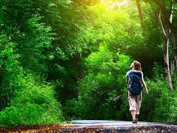 Il ritorno della camminata come cura: 3 motivi per cui sta diventando un trend globale 4 Unknown 2 1