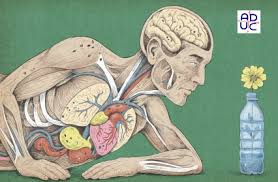 Microplastiche: i 4 principali rischi a cui ci espongono 3 Unknown 2